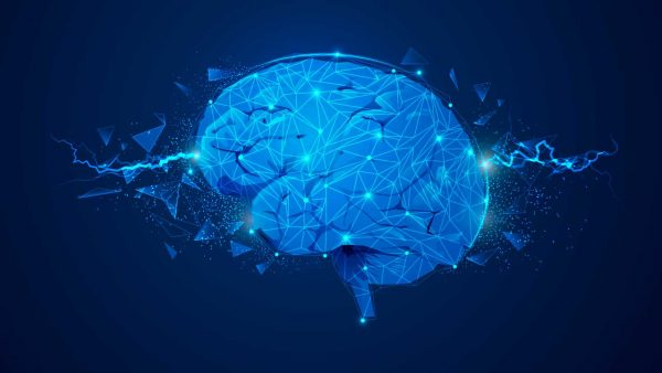 Suas-escolhas-podem-moldar-o-seu-cerebro-PATYAYRES-nutricionista-cetogenica-em-sao-paulo Suas-escolhas-podem-moldar-o-seu-cerebro-PATYAYRES-nutricionista-cetogenica-em-sao-paulo