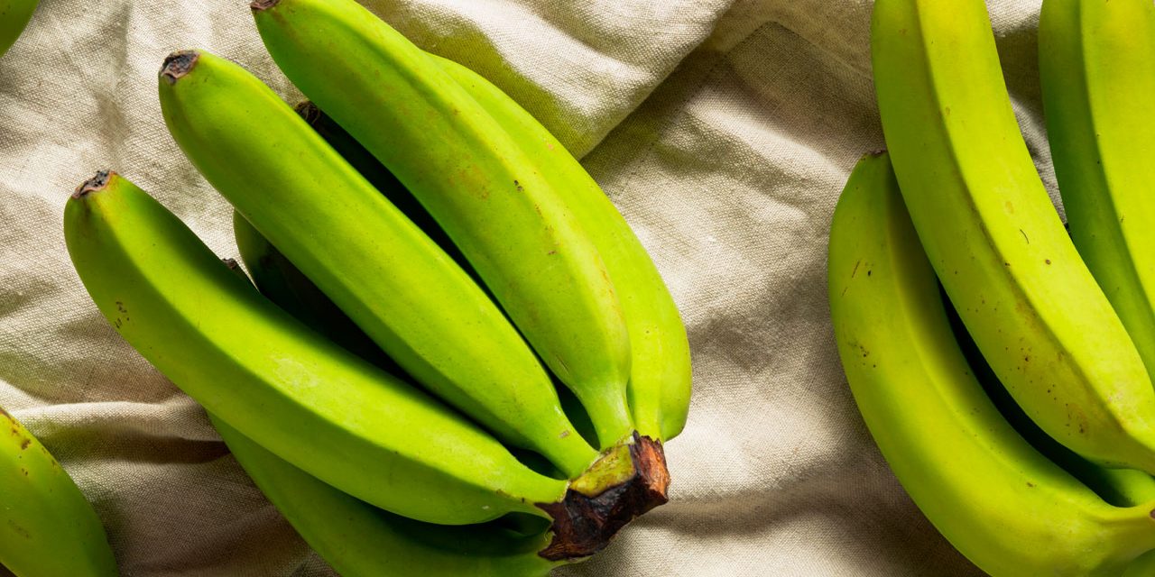 Biomassa-de-banana-verde-e-amido-resistente-patyayres-nutricionista-cetogenica-em-sao-paulo Biomassa-de-banana-verde-e-amido-resistente-patyayres-nutricionista-cetogenica-em-sao-paulo