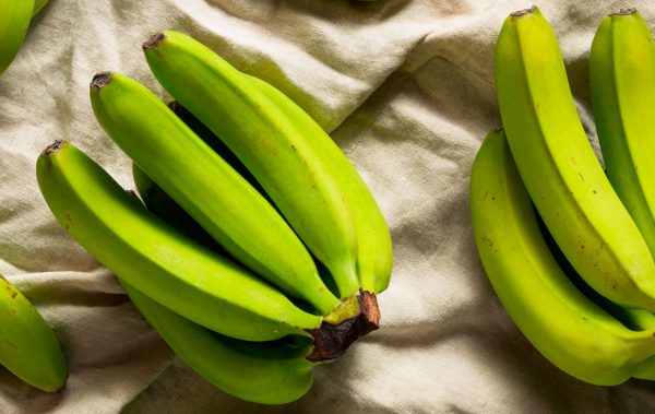 Biomassa-de-banana-verde-e-amido-resistente-patyayres-nutricionista-cetogenica-em-sao-paulo Biomassa-de-banana-verde-e-amido-resistente-patyayres-nutricionista-cetogenica-em-sao-paulo