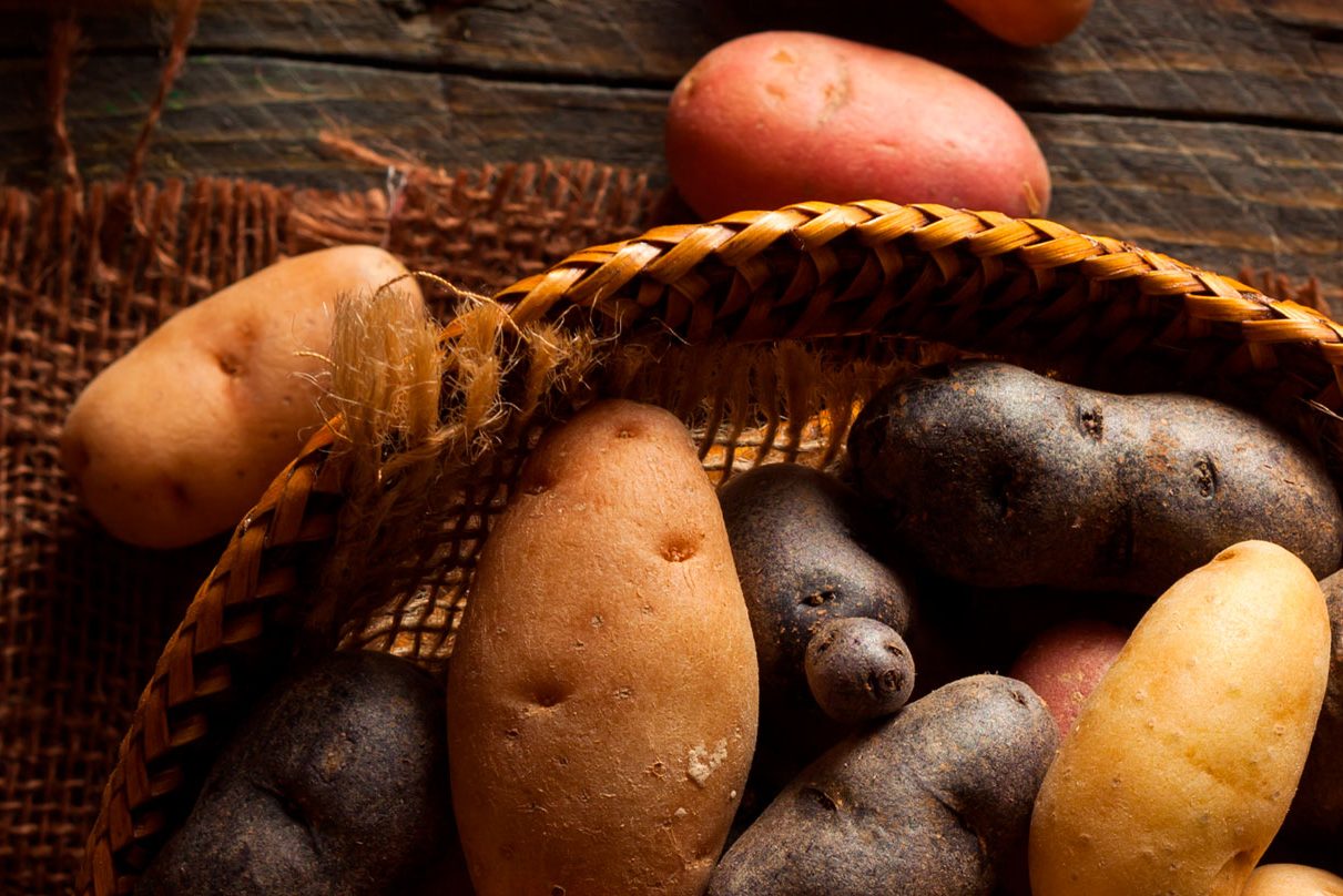 Os-5-tipos-de-amidos-resistentes-patyayres-nutricionista-cetogenica-em-sao-paulo