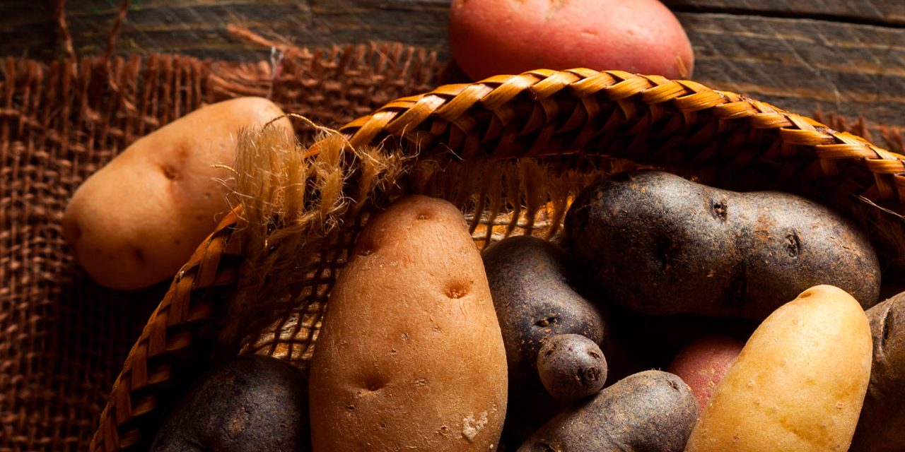 Os-5-tipos-de-amidos-resistentes-patyayres-nutricionista-cetogenica-em-sao-paulo