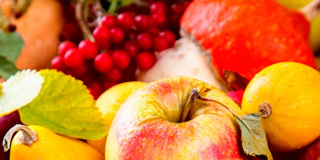 100-Calorias-em-Frutas-FACcA-A-SUA-ESCOLHA-1 100-Calorias-em-Frutas-FACcA-A-SUA-ESCOLHA-1