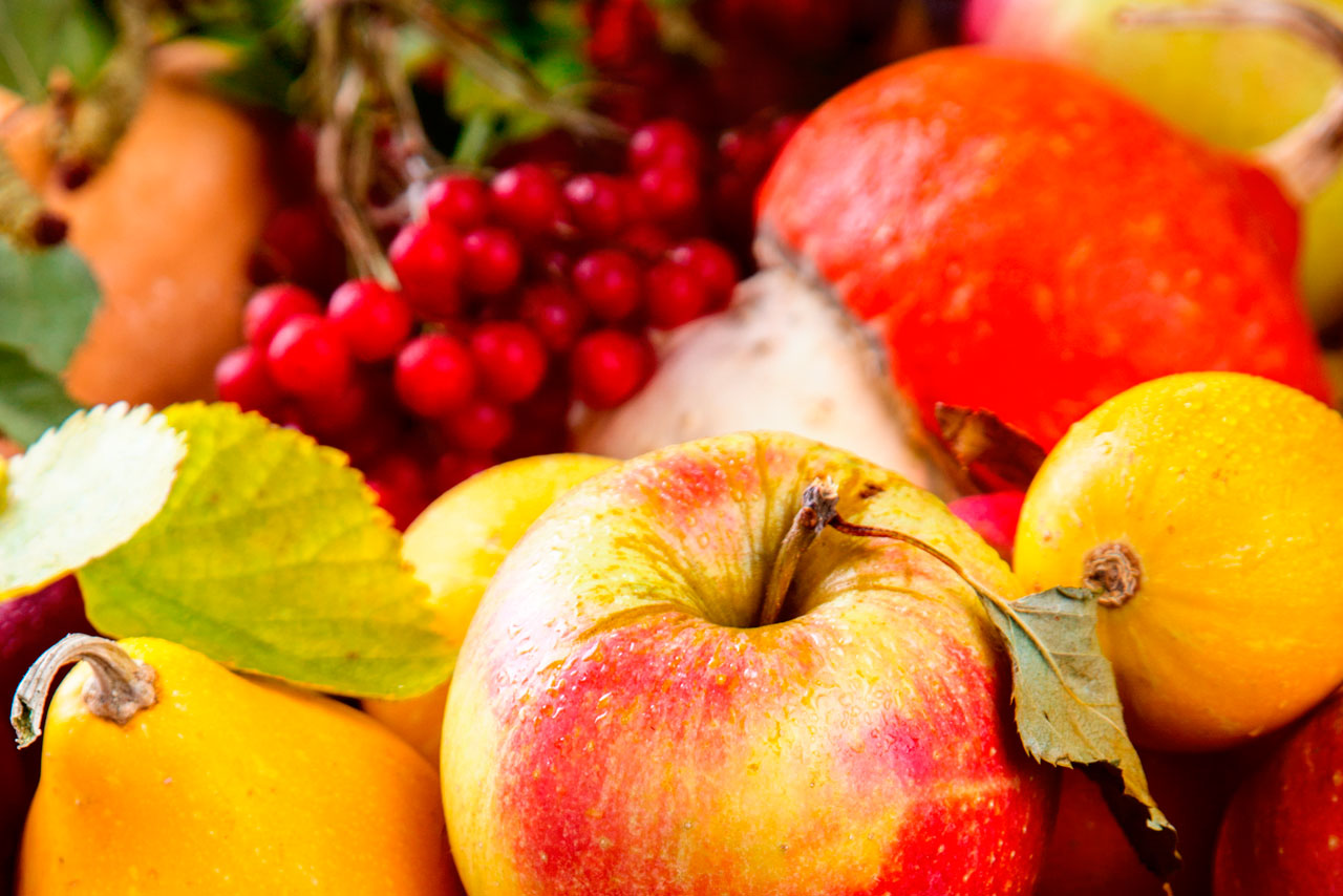 100-Calorias-em-Frutas-FACcA-A-SUA-ESCOLHA-1 100-Calorias-em-Frutas-FACcA-A-SUA-ESCOLHA-1