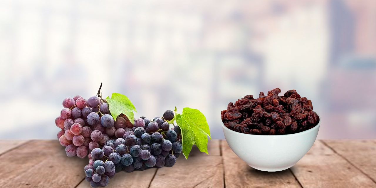 FRUTA-IN-NATURA-E-FRUTA-DESIDRATADA-1-1 FRUTA-IN-NATURA-E-FRUTA-DESIDRATADA-1-1