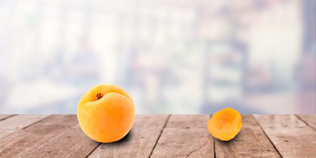 FRUTA-IN-NATURA-E-FRUTA-DESIDRATADA-4-4 FRUTA-IN-NATURA-E-FRUTA-DESIDRATADA-4-4