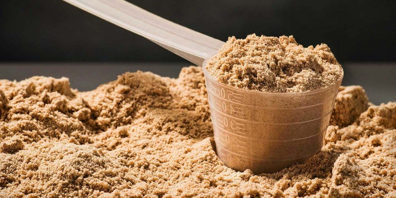 Dicas para escolher WHEY PROTEIN Dicas para escolher WHEY PROTEIN