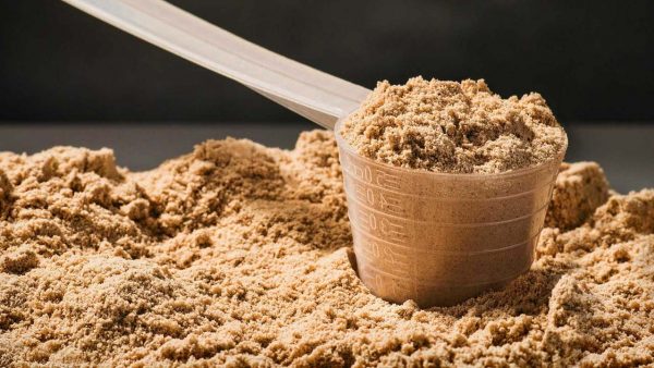 Dicas para escolher WHEY PROTEIN Dicas para escolher WHEY PROTEIN