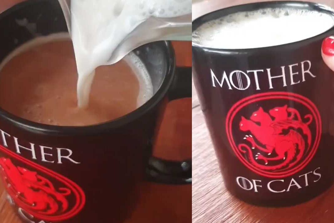 Receita de Leite Cetogênico – Paty Ayres Receita de Leite Cetogênico - Paty Ayres