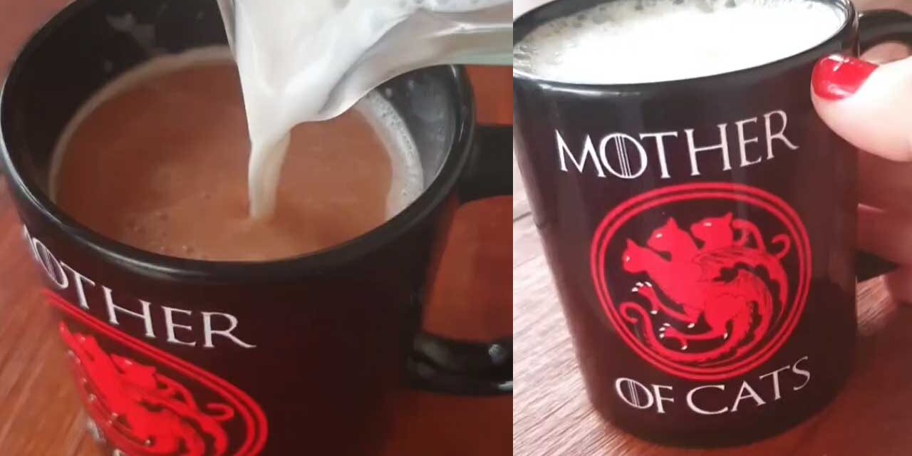 Receita de Leite Cetogênico – Paty Ayres Receita de Leite Cetogênico - Paty Ayres