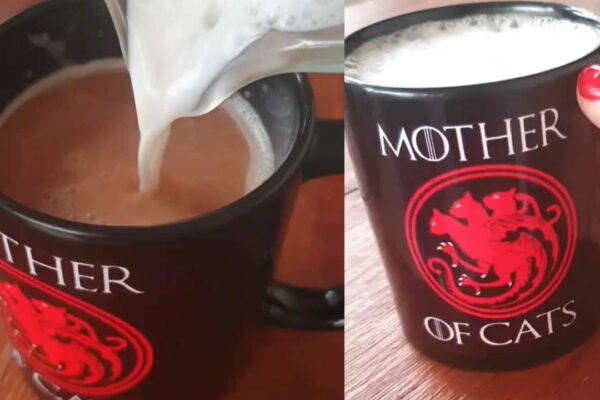 Receita de Leite Cetogênico - Paty Ayres