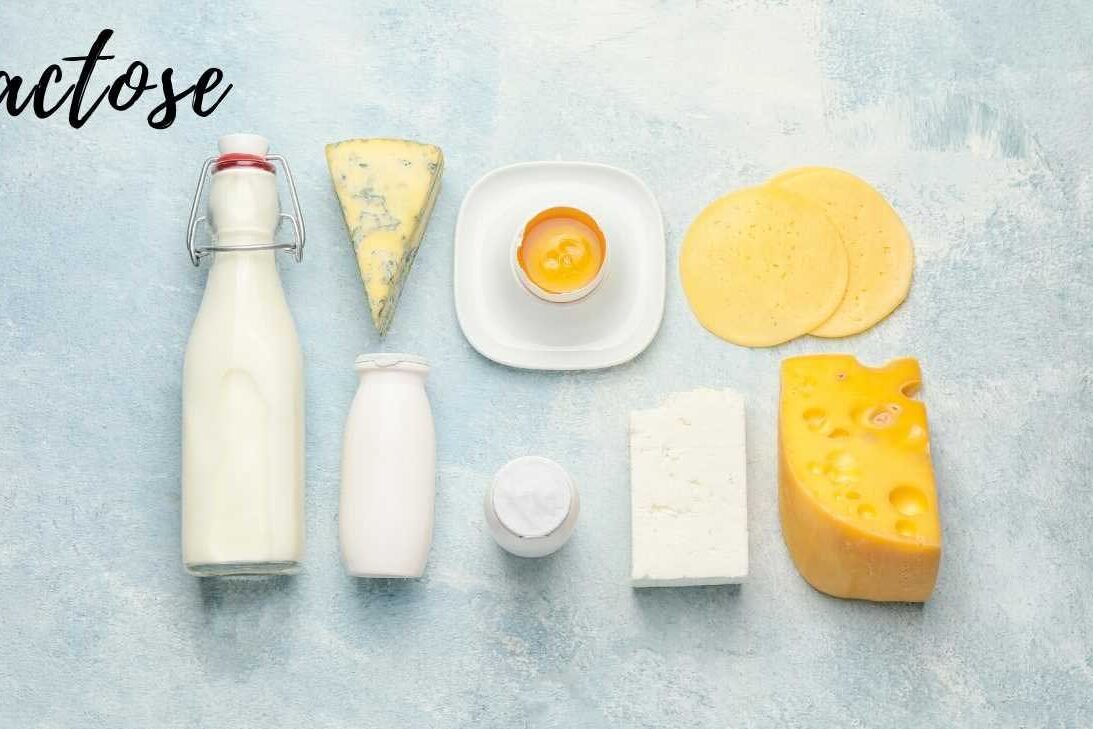 Lactose Lactose - Por Paty Aytes