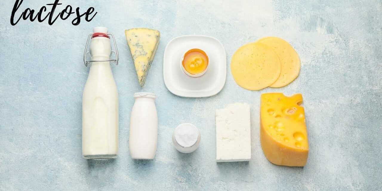 Lactose Lactose - Por Paty Aytes