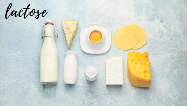 Lactose Lactose - Por Paty Aytes