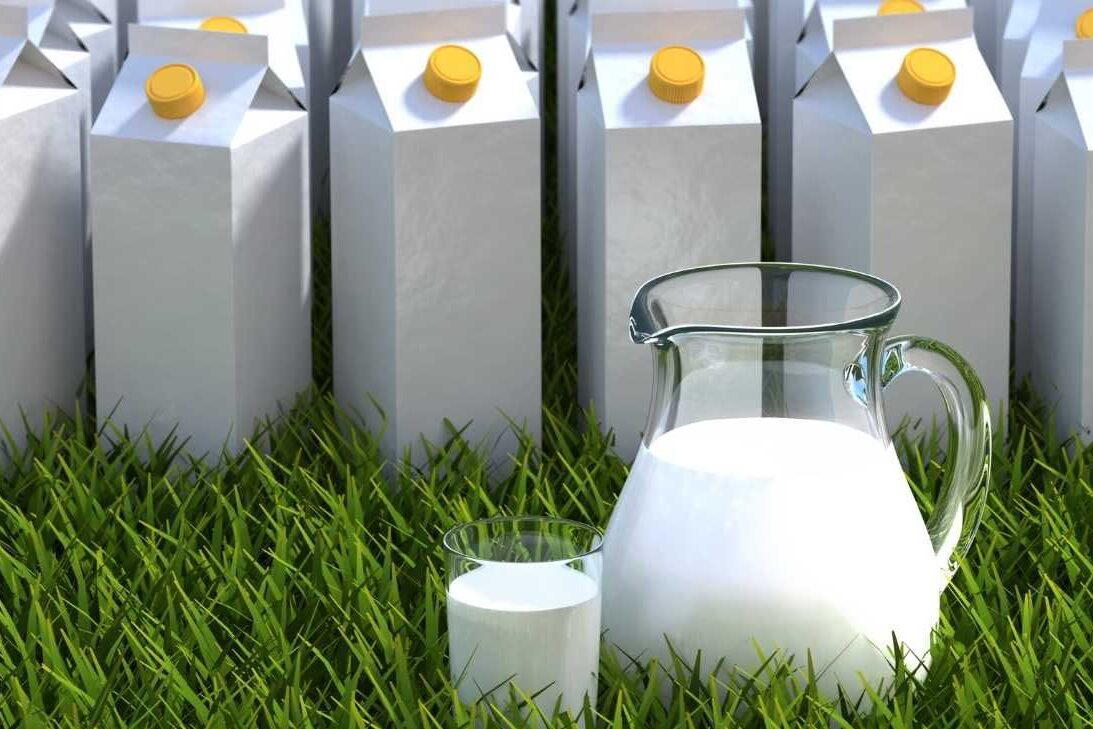 Leite Cru, Pasteurizado e UHT Leite Cru, Pasteurizado e UHT - Por Paty Ayres