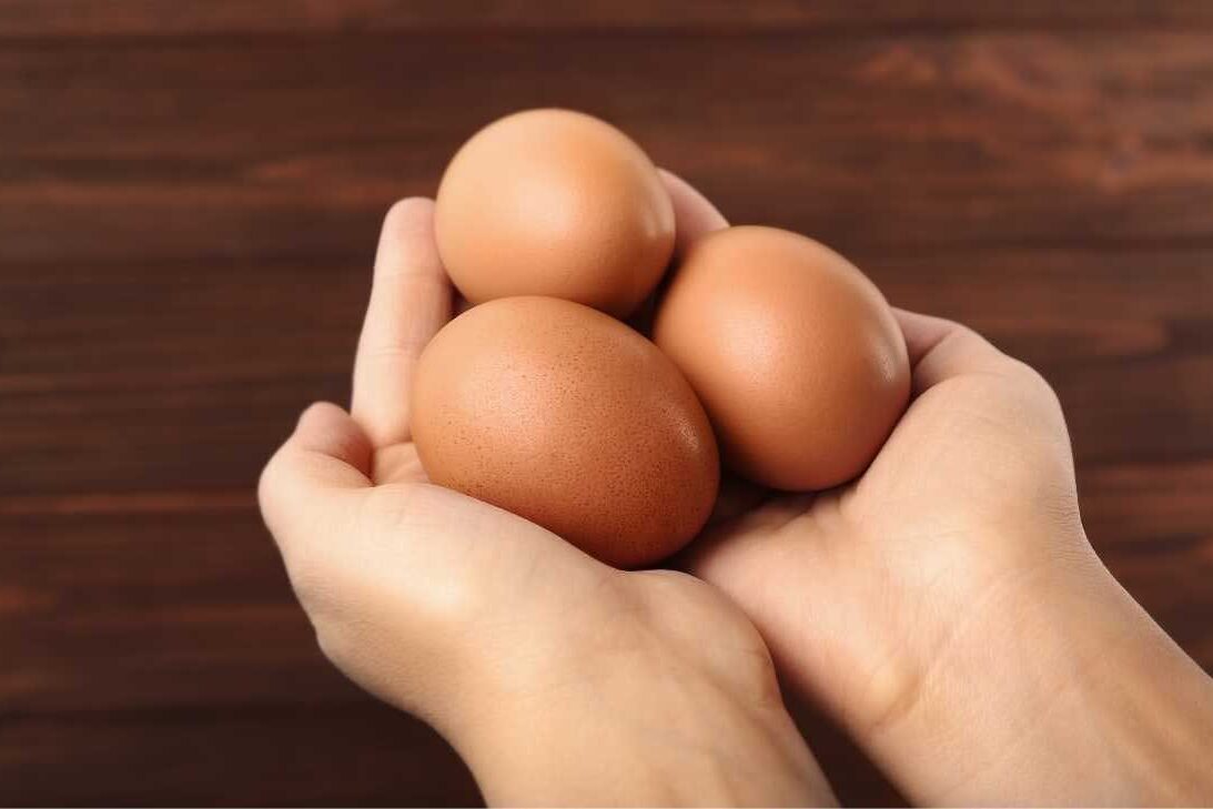 Proteína Básica Proteína Básica - Por Paty Ayres, Nutricionista