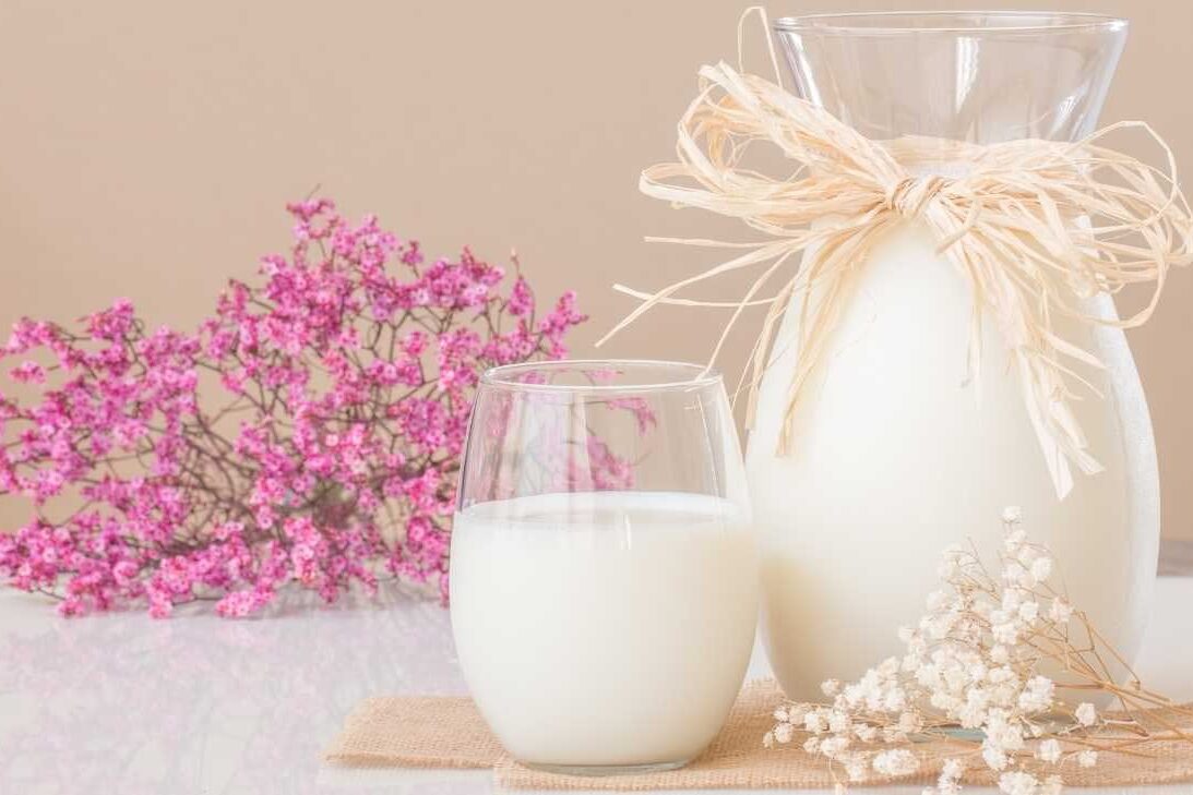 Gordura do Leite de Vaca – Leite Integral, Semidesnatado e Desnatado Gordura do Leite de Vaca - Leite Integral, Semidesnatado e Desnatado - Por Paty Ayres