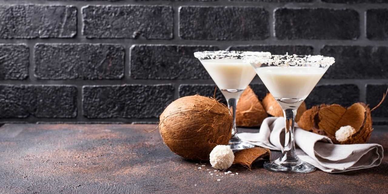 Batida de Coco Low Carb Imagem de Batida de Coco Low Carb - Por Paty Ayres, Nutricionista