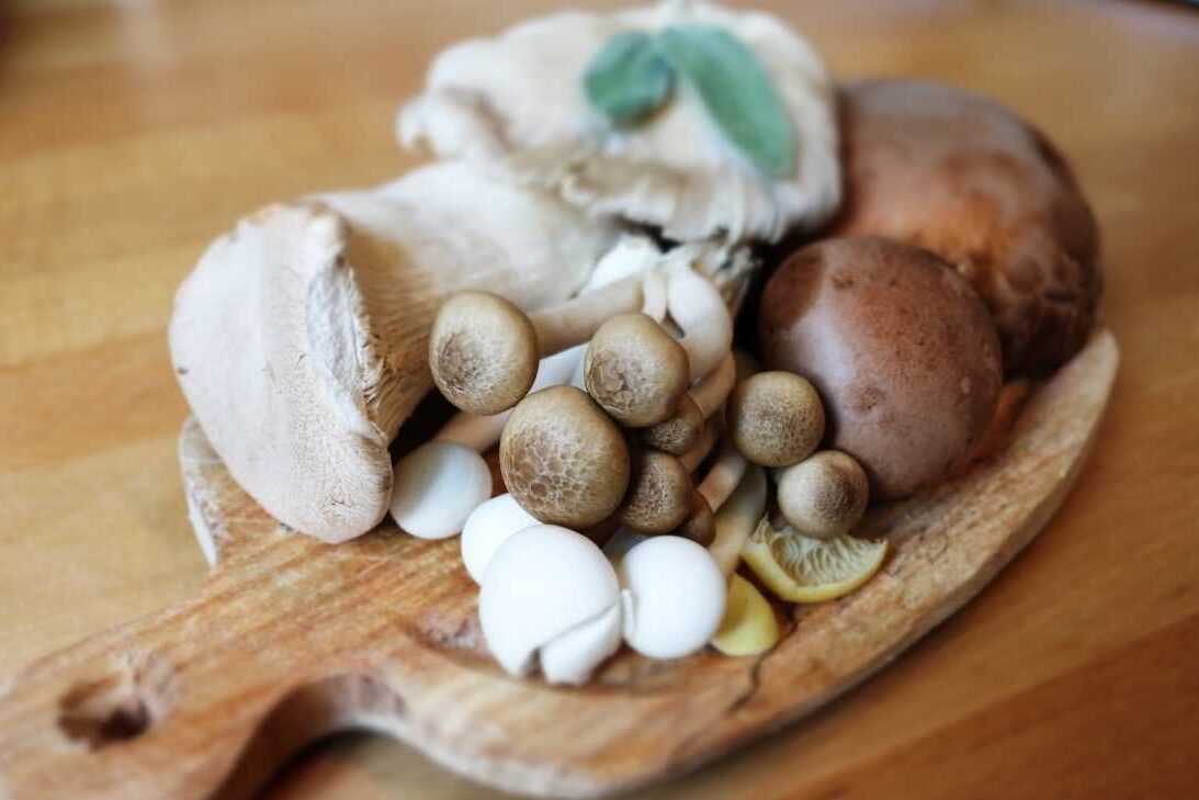 Cogumelos e Vitamina D Imagem de Tábua com diferentes tipos de cogumelos comestíveis - Por Paty Ayres