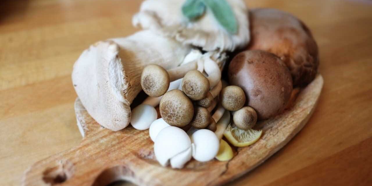 Cogumelos e Vitamina D Imagem de Tábua com diferentes tipos de cogumelos comestíveis - Por Paty Ayres