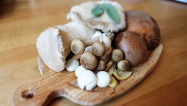 Cogumelos e Vitamina D Imagem de Tábua com diferentes tipos de cogumelos comestíveis - Por Paty Ayres