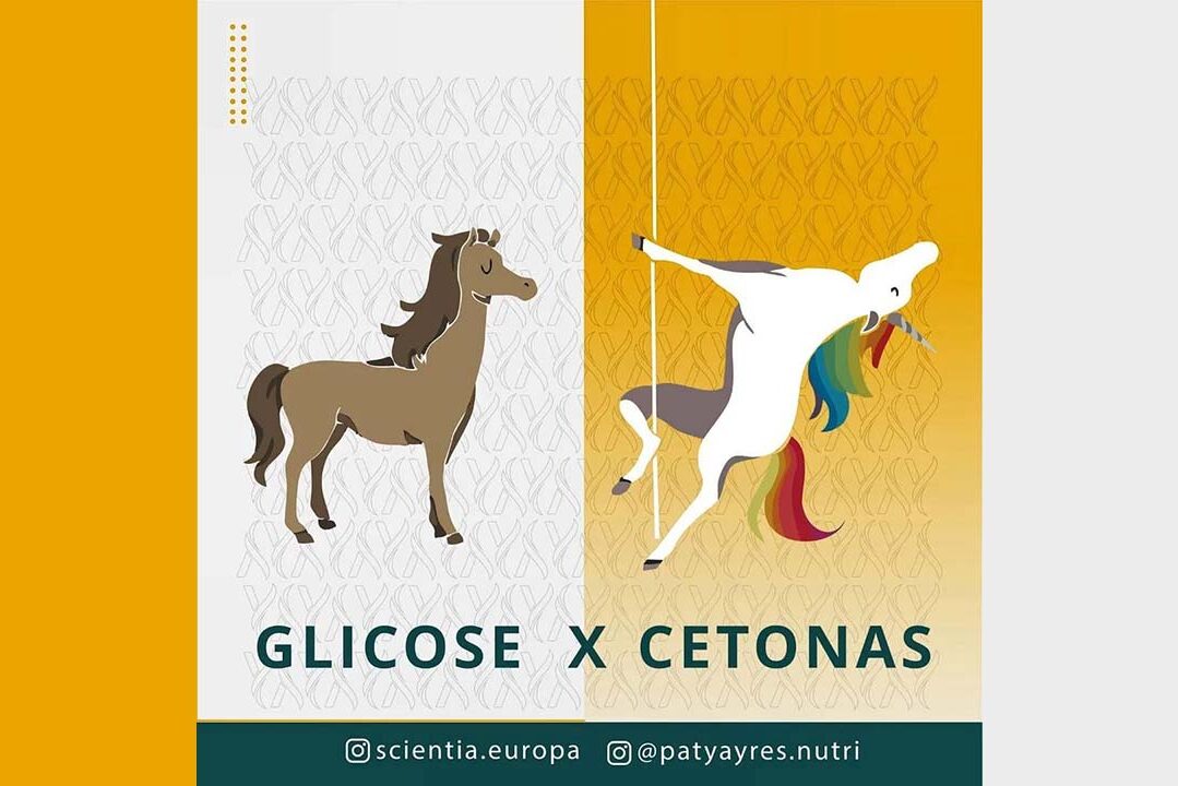 Glicose x Cetonas Imagem ilustrativa de um Cavalo e um Unicórnio, representando Glicose e Cetonas respectivamente.