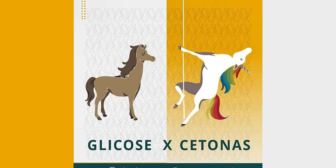 Glicose x Cetonas Imagem ilustrativa de um Cavalo e um Unicórnio, representando Glicose e Cetonas respectivamente.