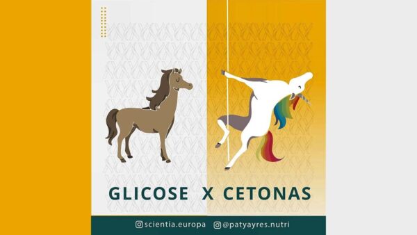 Glicose x Cetonas Imagem ilustrativa de um Cavalo e um Unicórnio, representando Glicose e Cetonas respectivamente.