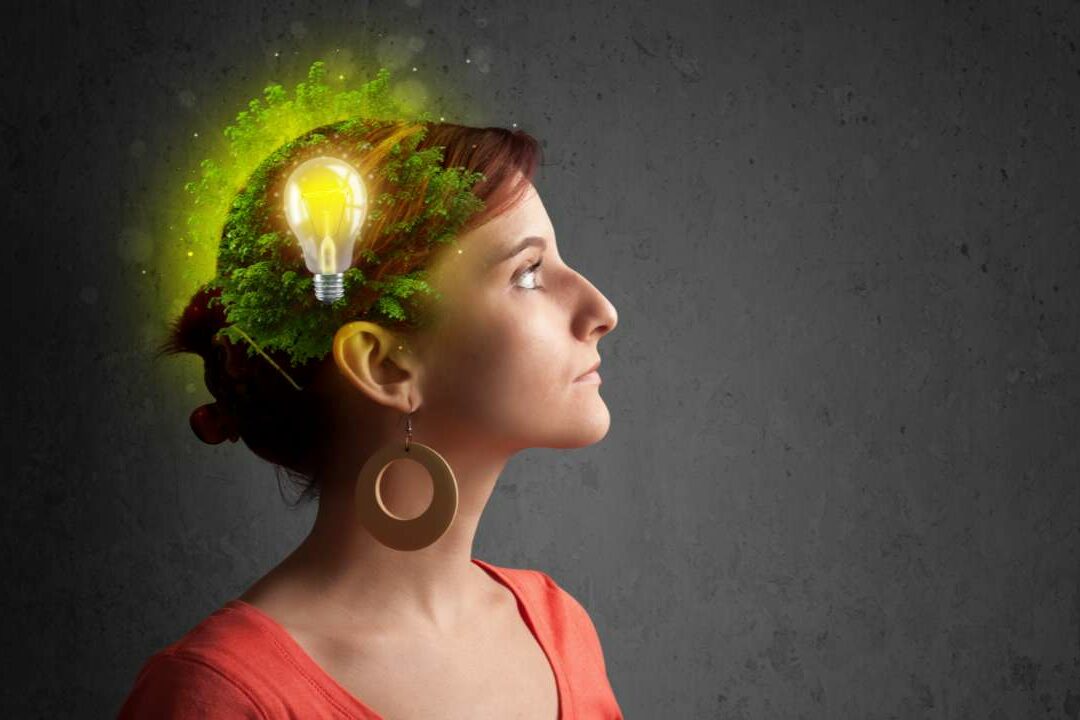 A mente humana não gosta de cometer erros A mente humana não gosta de cometer erros, e reserva tempo específico para evitar repeti-los